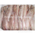 China good fresh frozen solefish Supplier